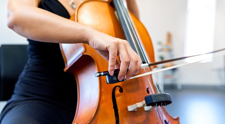 Cello: Anatomy of the Instrument for Beginners