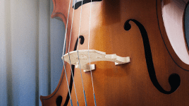 Cello – Anatomie des Instruments für Einsteiger