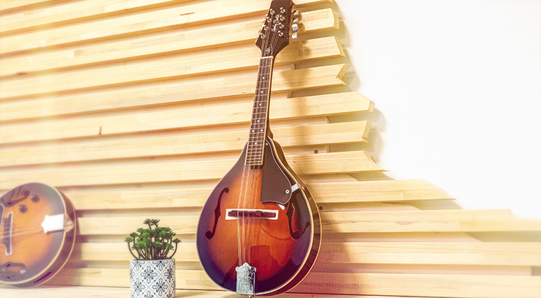 La Mandoline ▷ Instrument de l'année 2023