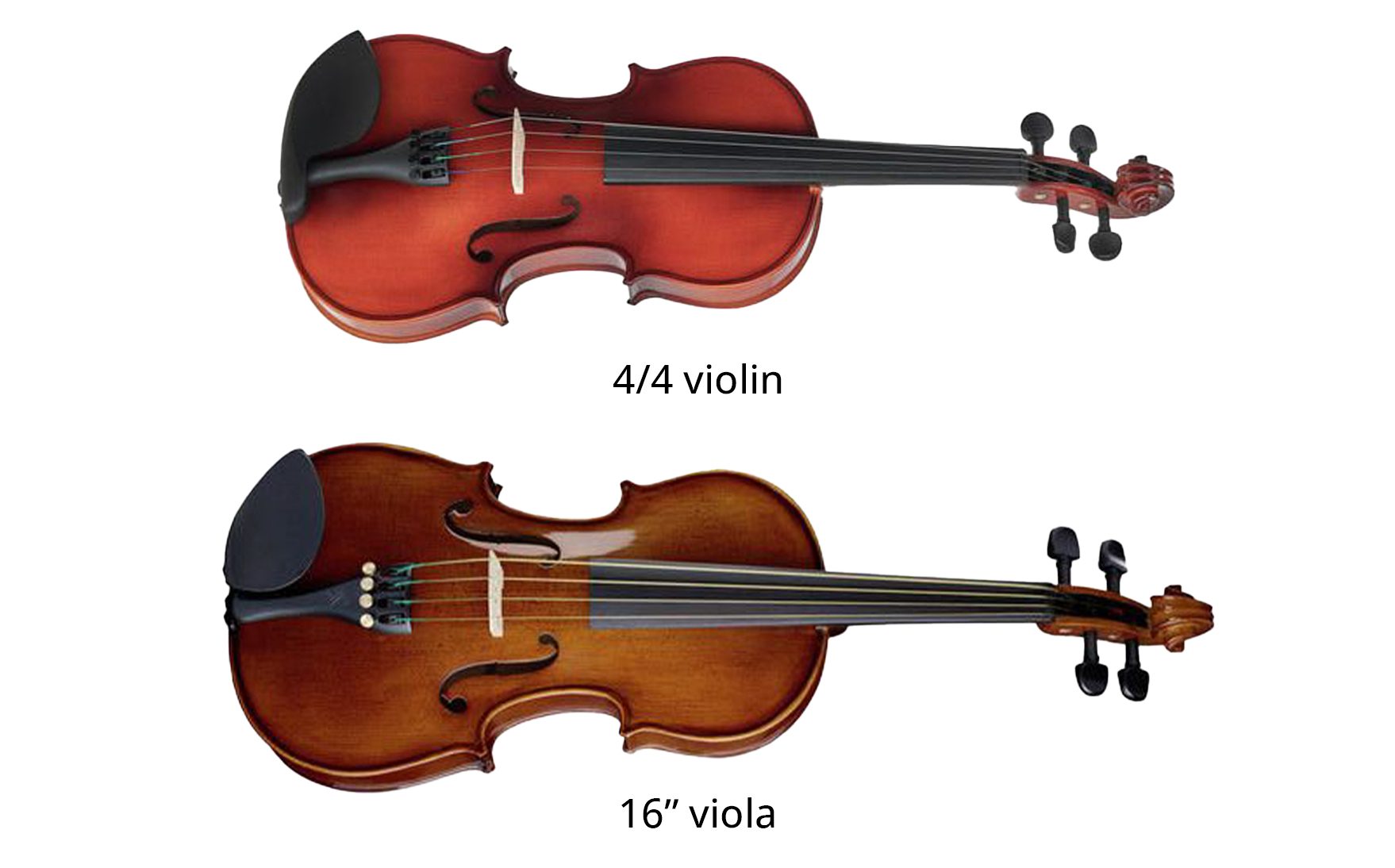 Unterschiede zwischen Violine und Viola
