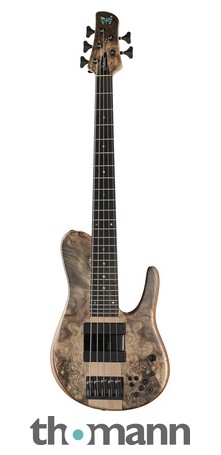 charvel striped series