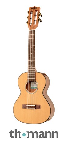 Kala KA-GTR guitare acoustique ténor 4 cordes + housse